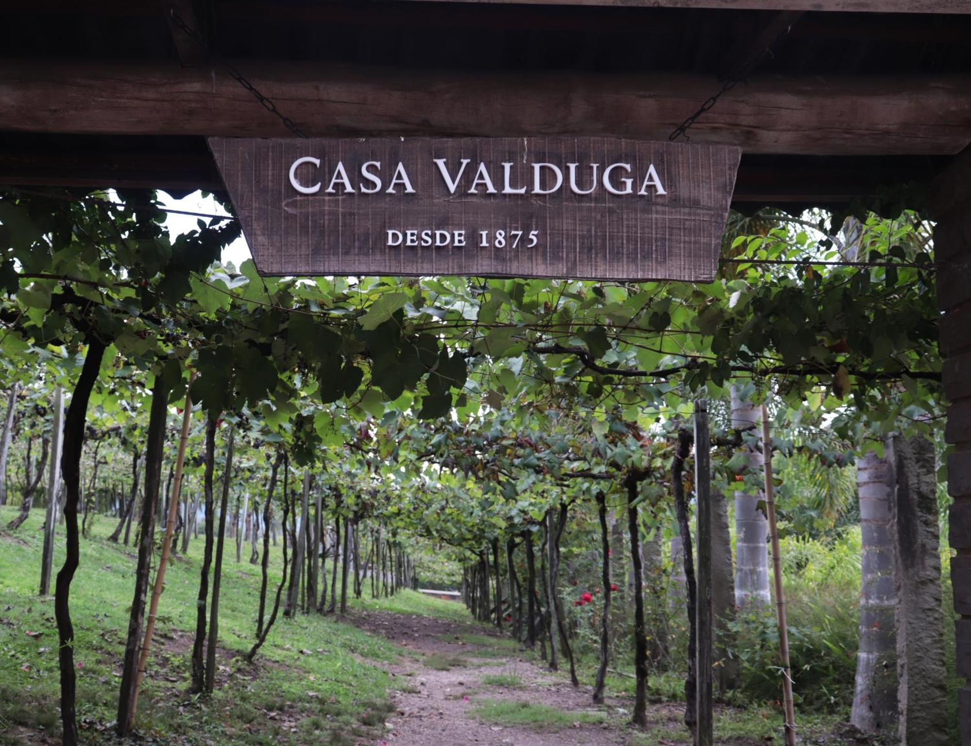 Casa Valduga Pousada Boutique Bento Gonçalves Buitenkant foto